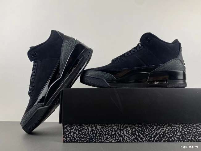 Kicked Out Shoe Store Black Cat Jordan Air CT8532-001 3 0723